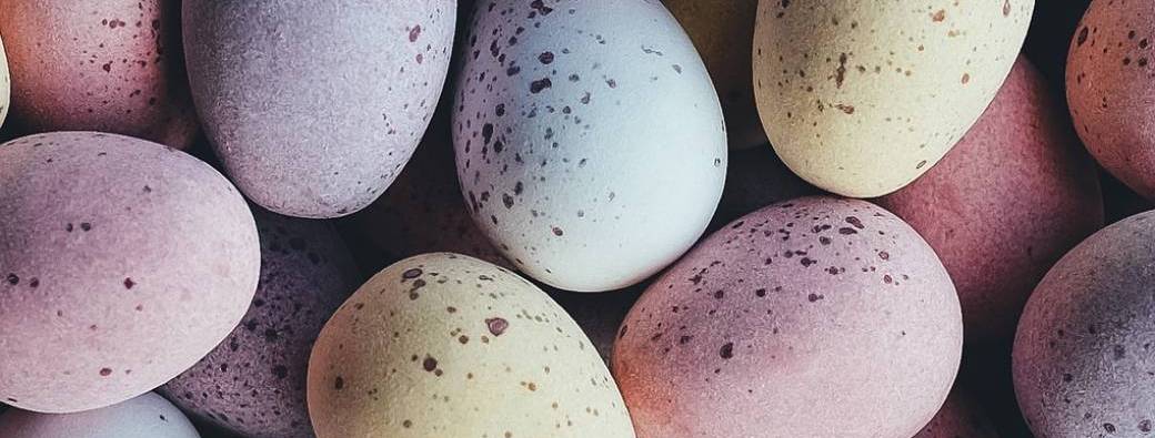 Le printemps des oiseaux - Ateliers de 4 à 6 ans