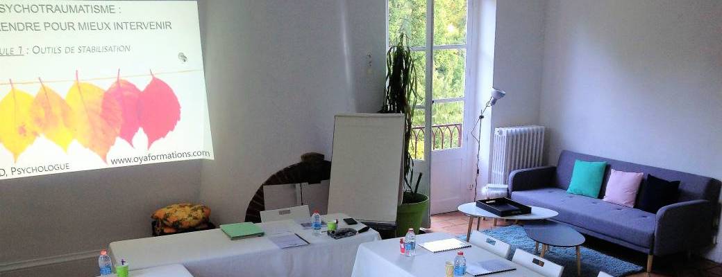 Le psychotraumatisme - Module 2 Classe virtuelle Juillet 2021
