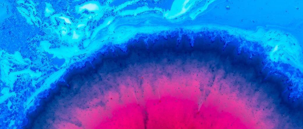 Le Rendez-vous de la Chimie 2019