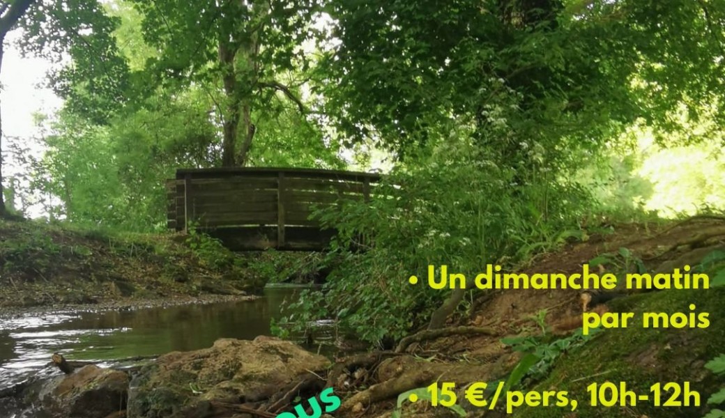Le rendez-vous de l'intuition