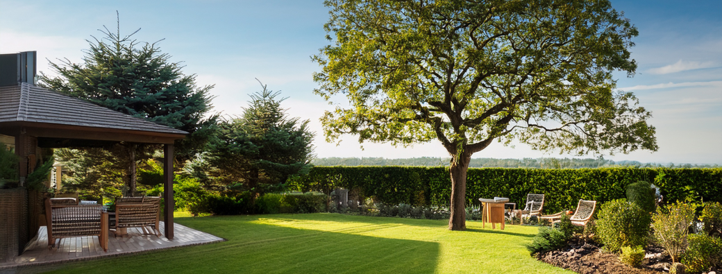 Le rôle de l'arbre au jardin par Benjamin SCHILS