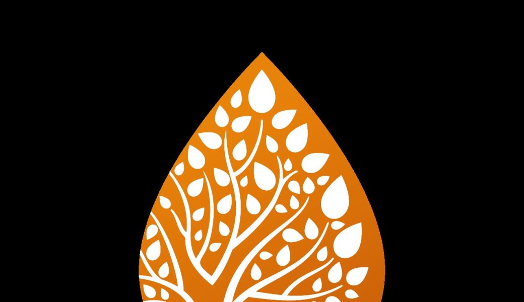 Le sol vivant au potager