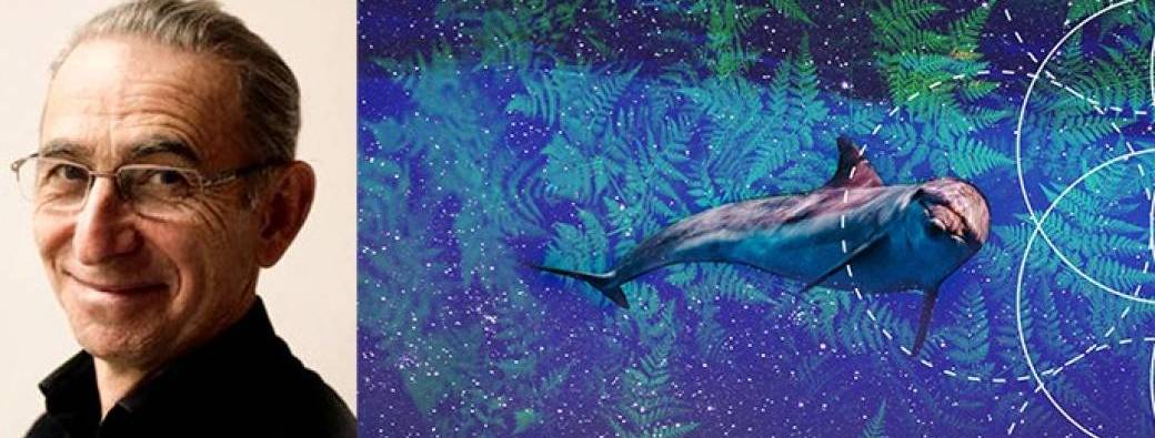 Le soleil est-il conscient ?