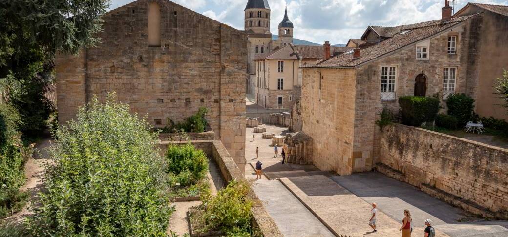 Le végétal dans Cluny du Moyen-Âge à nos jours