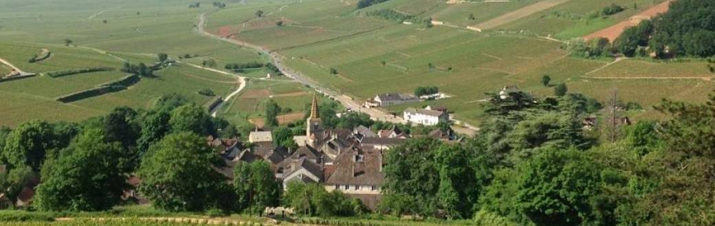 Le vignoble des petits et des grands