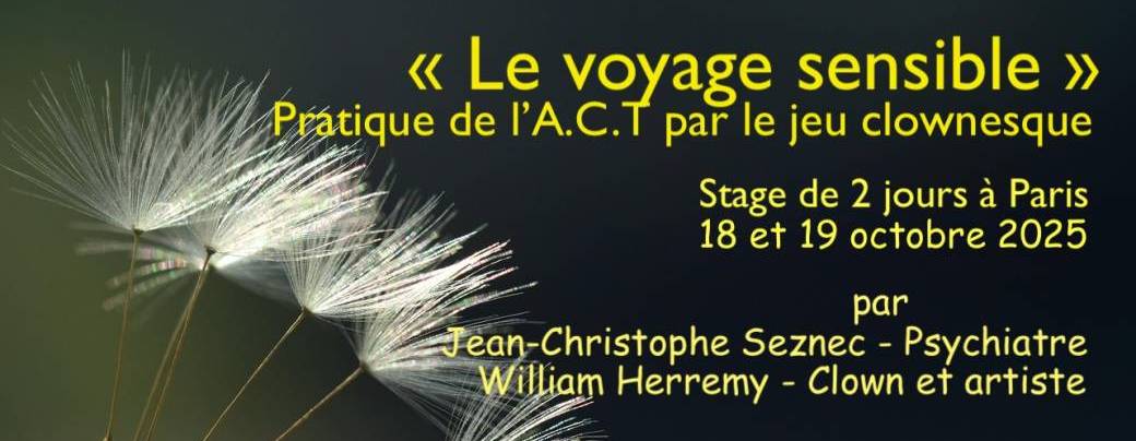 Le voyage sensible
