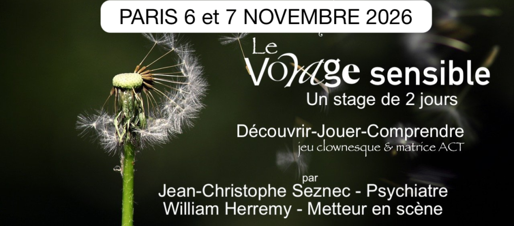 Le voyage sensible