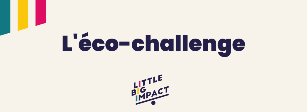 L'éco-challenge de Little Big Impact - En présentiel à Paris