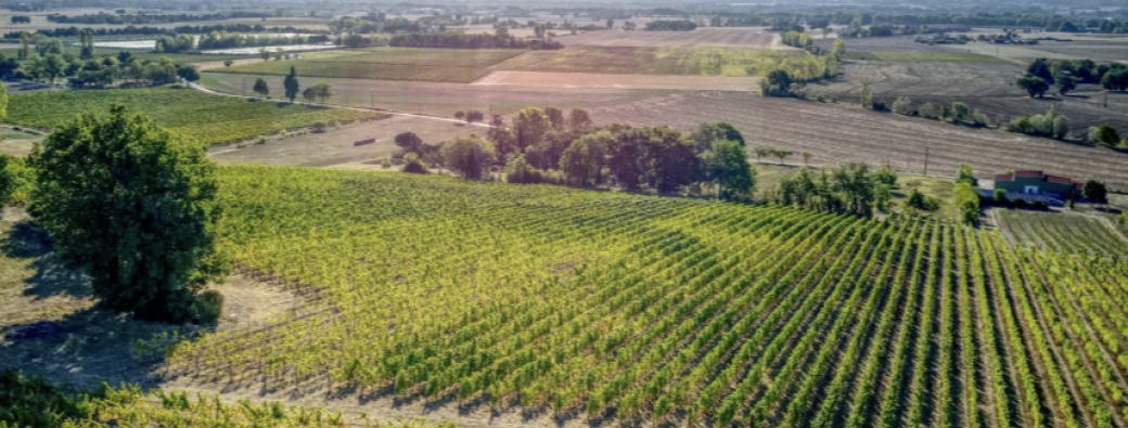 L'enclos des braves