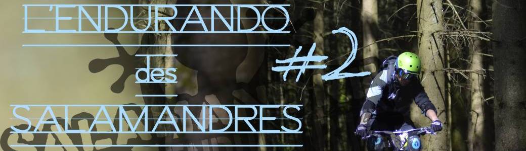 L'endurando des Salamandres #2 