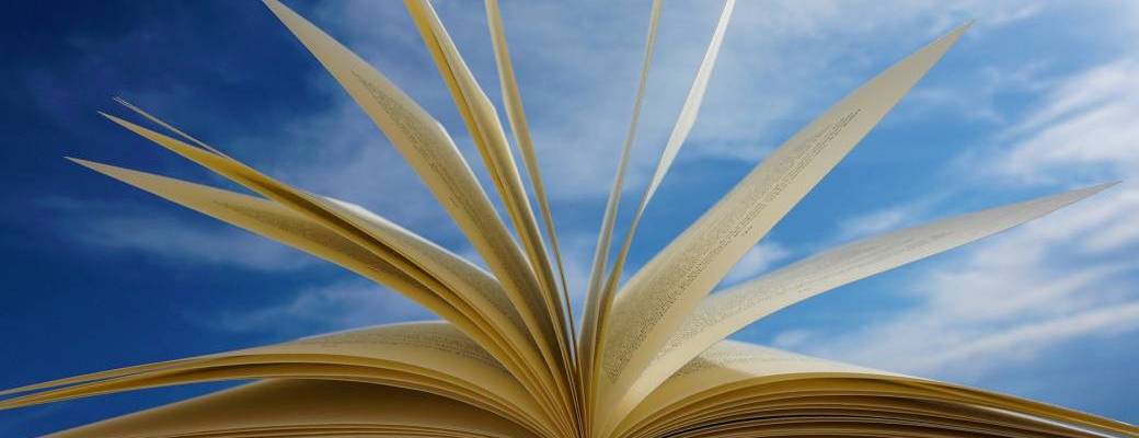 Les 1001 saveurs de l'écriture