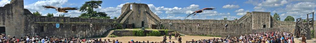 Les Aigles des Remparts 2023