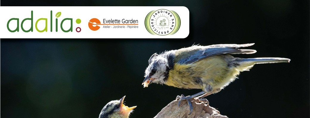 Les aménagements en  faveur de la faune sauvage