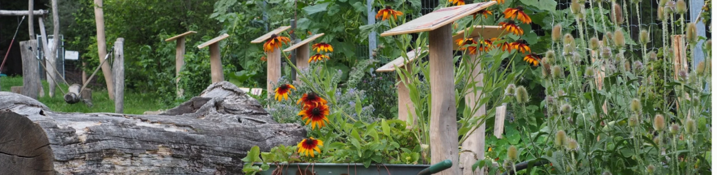 Formation - Les aménagements favorables à la faune sauvage au jardin 