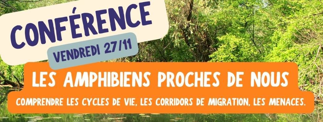 Les amphibiens proches de nous 