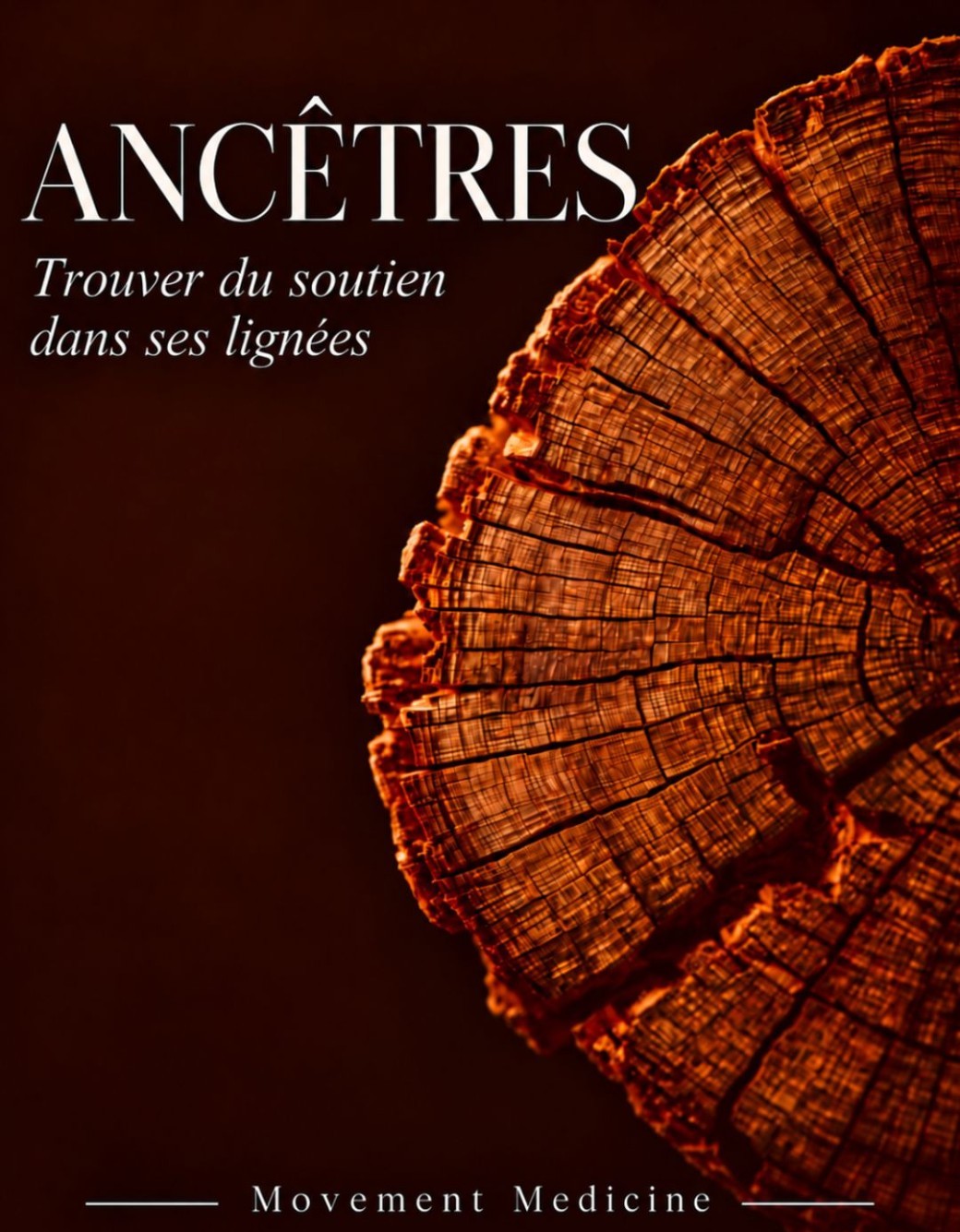 Les ancêtres