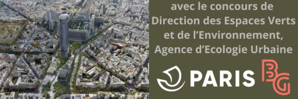 Les arbres du quartier de Montparnasse