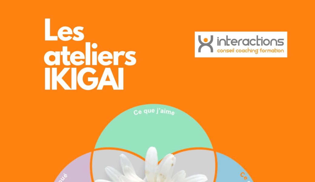 Les ateliers ikigai : une boussole pour reprendre en main votre vie personnelle et votre carrière