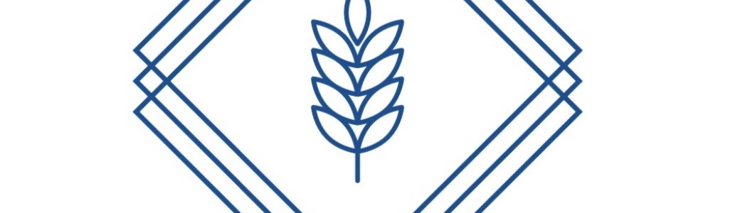 Les bâtisseurs 2nd enseignement 