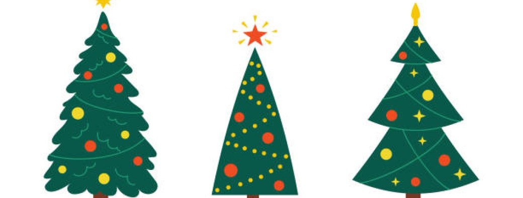 Les beaux sapins de l'APEL