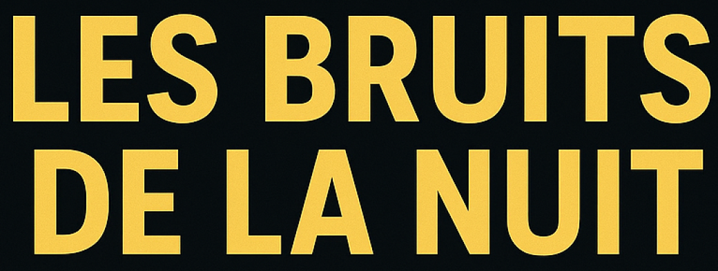 Les Bruits de la Nuit