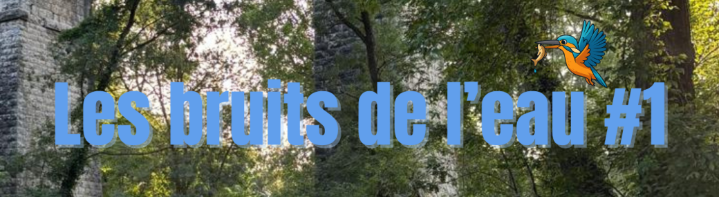 Les bruits de l'eau #1          Duo Lyra