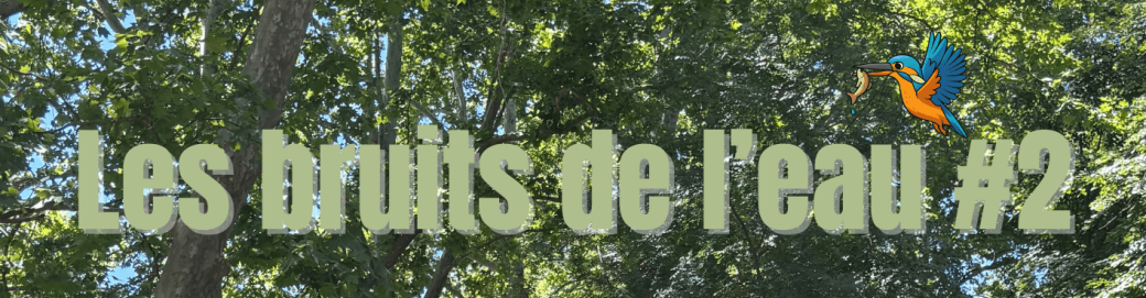 Les bruits de l'eau #2                Duo Riu Pèira