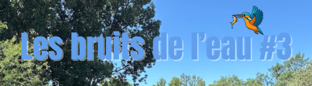 Les bruits de l'eau #3               Atelier danse et Quatuor Riu Pèira