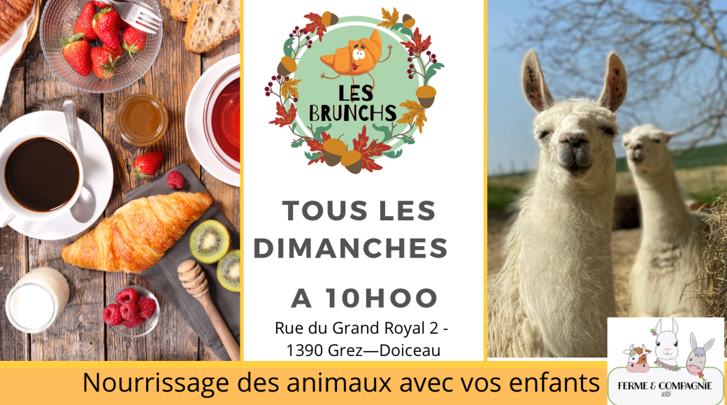 Les brunchs automne 2022