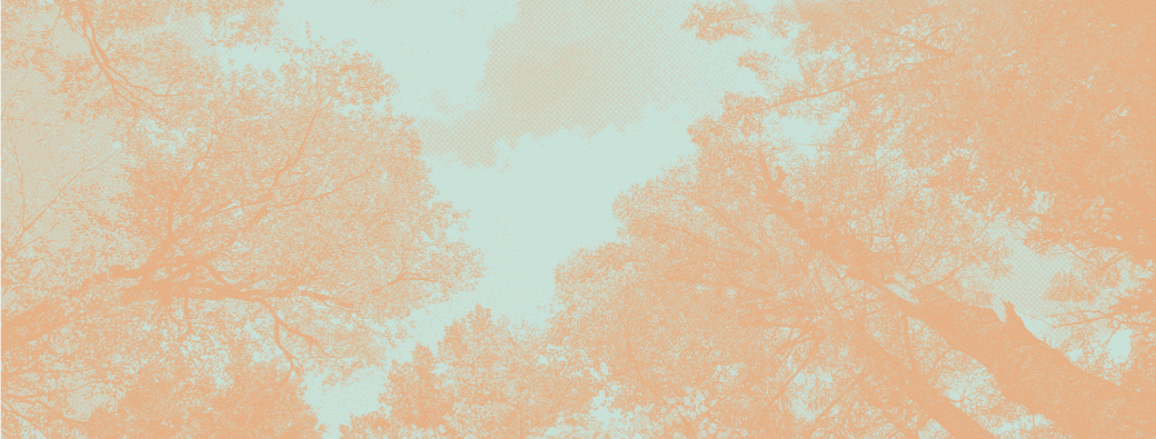 Les Cercles pétillants - S'appuyer sur ses Ressources