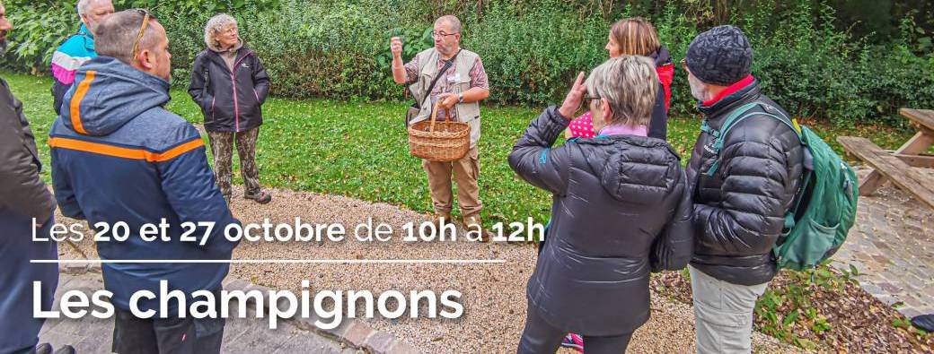 Les champignons