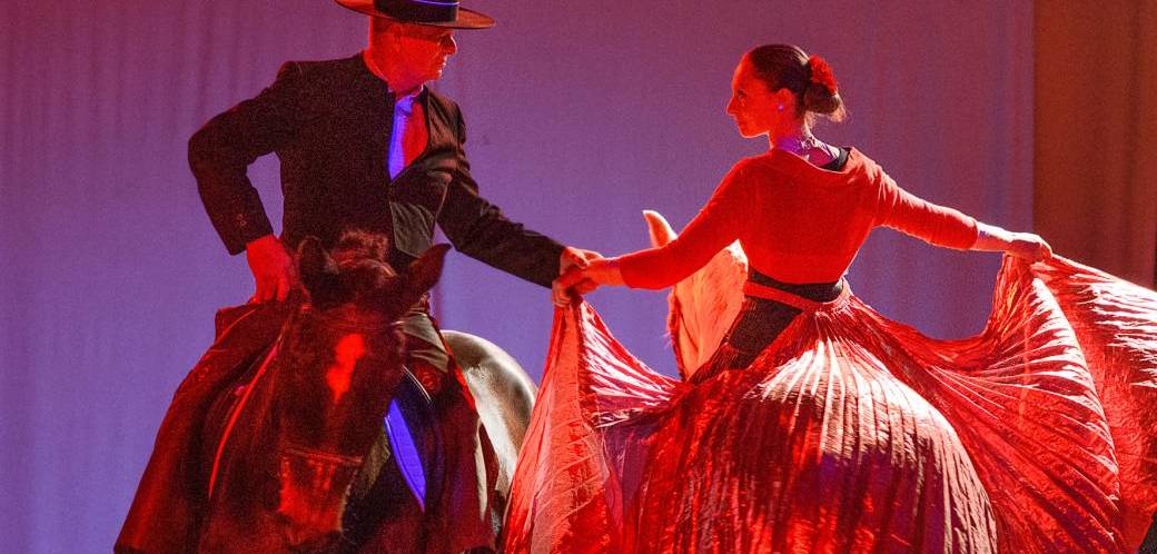 LES CHEVAUX DANSENT A LA BODEGA