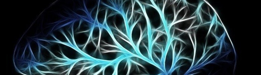 Les clefs de la Kinésiologie pour faciliter l'apprentissage des dyslexiques et des profils HPI
