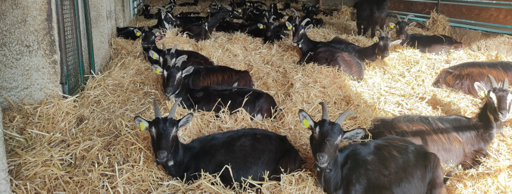 Les coulisses du terroir - La Ferme de Masolat