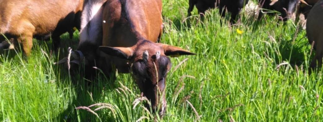 Les coulisses du terroir - La Ferme des Terres