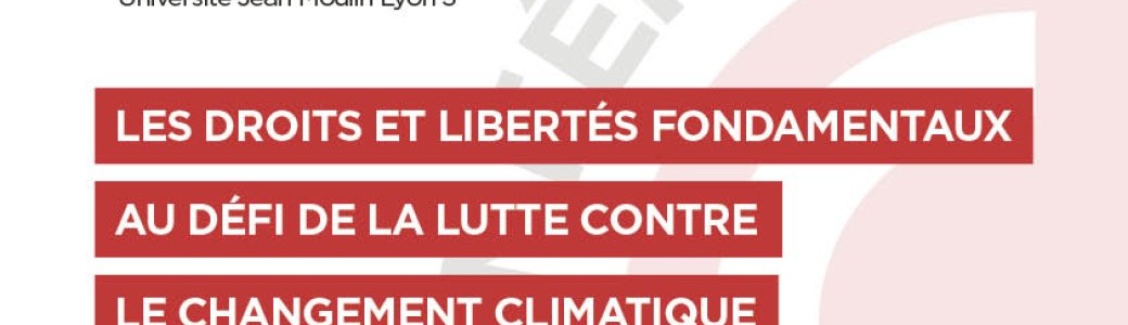 Les droits et libertés fondamentaux face à la lutte contre le changement climatique