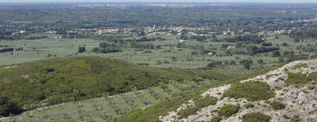 Les Estivales de Mouriès