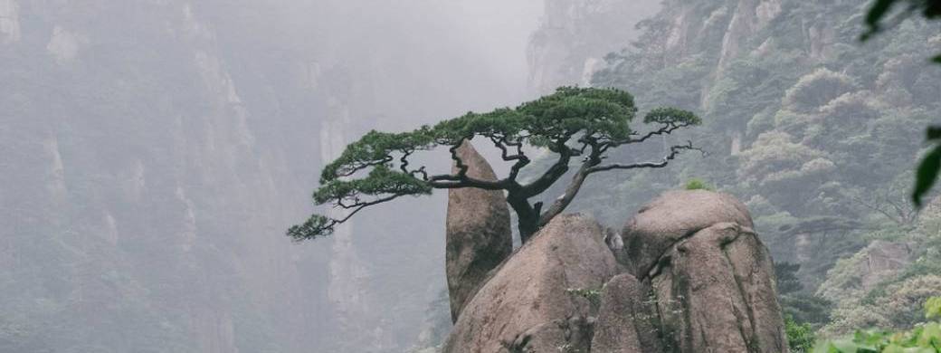 Les Fondamentaux de l'Ennéagramme