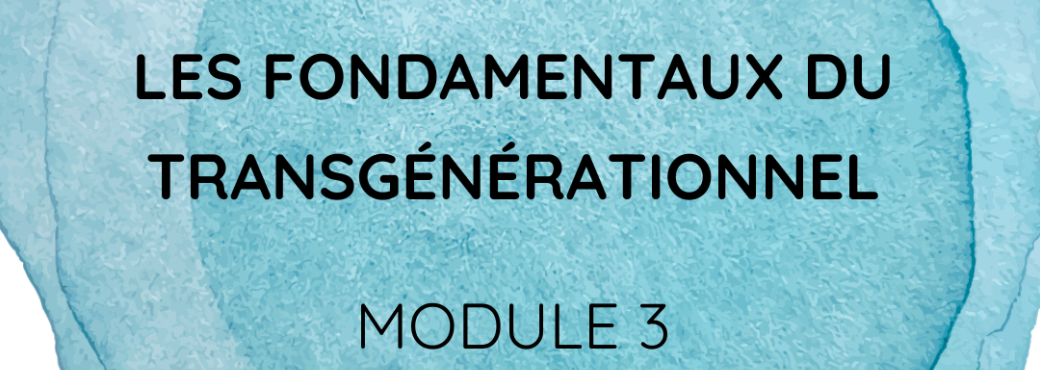 (visio) Fondamentaux du transgénérationnel | Module 3 :les dynamiques systémiques