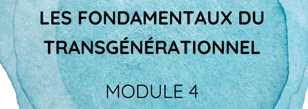 (visio) Fondamentaux du transgénérationnel | Module 4 : application aux entreprises 