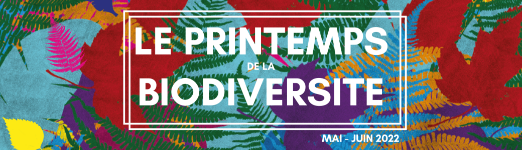 Les gardiens de la nature