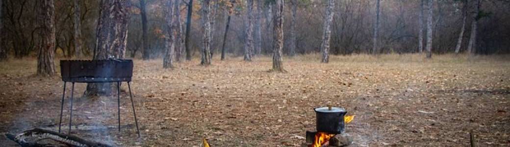 Les gaufres au feu de bois