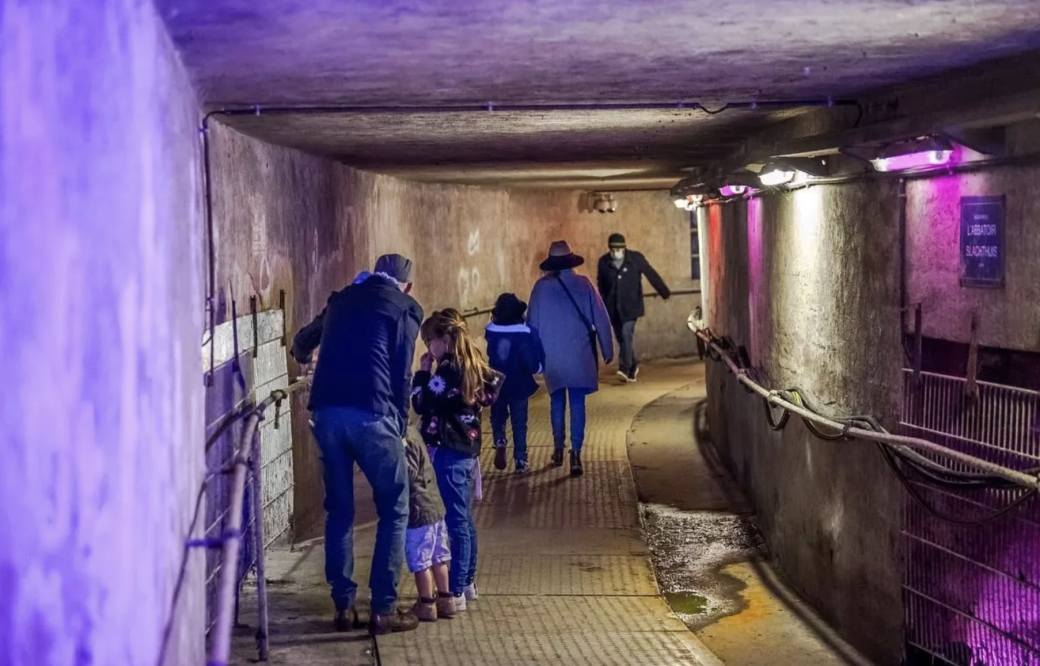 Musée des Égouts de Bruxelles 
