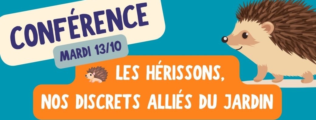 LES HÉRISSONS, NOS DISCRETS ALLIÉS DU JARDIN