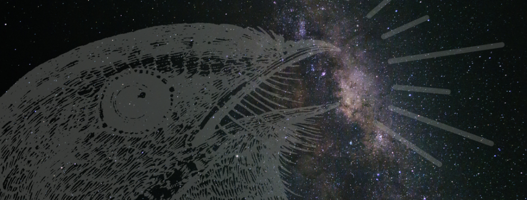 Les hauts de l'Engoulevent