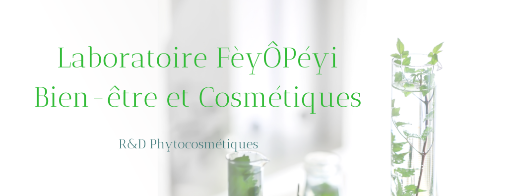 Les journées FèyÔPéyi : Atelier fabrication à partir de plantes locales 