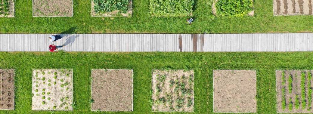 VISITE GUIDÉE | Les maraîchers et leurs légumes