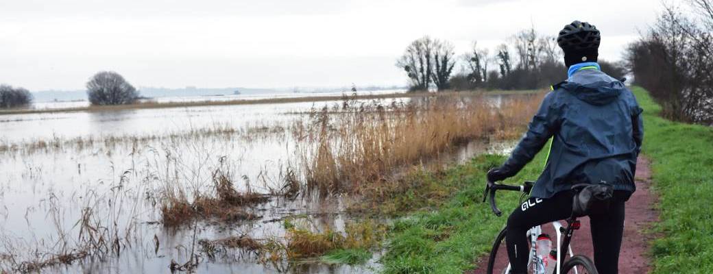 Les marais blancs 2025