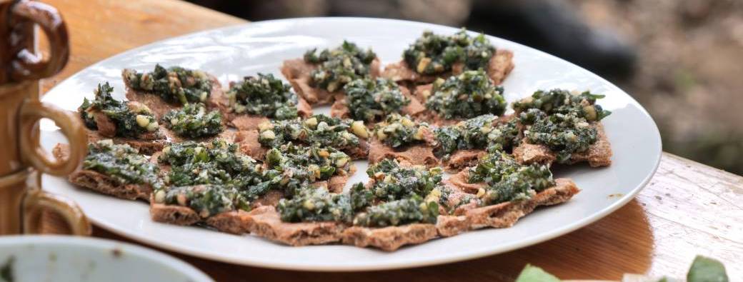 Les mercredis de la débrouille #4 Cuisine sauvage