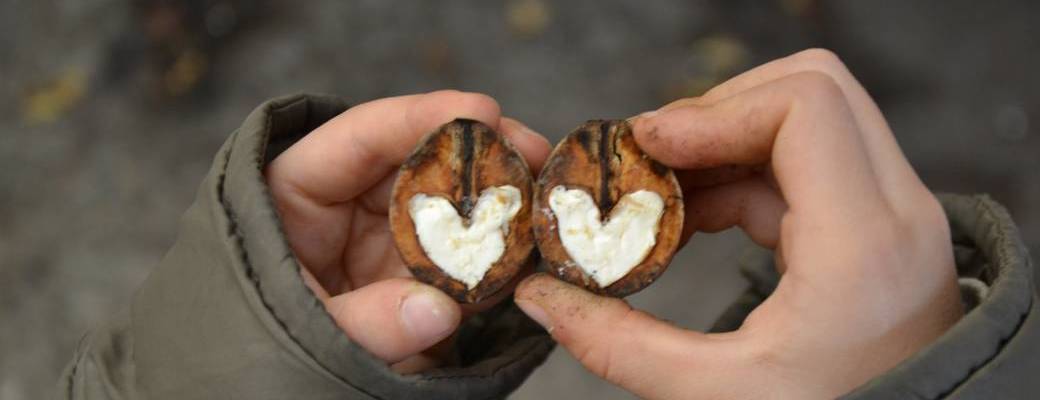 Avec les noix ...  ces merveilleux fruits de la forêt